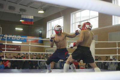 За Кубок области по смешанному боевому единоборству боролось более шестидесяти спортсменов